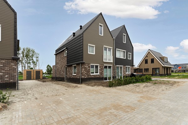06_Moerasorchidee 31 - Lelystad.jpg
